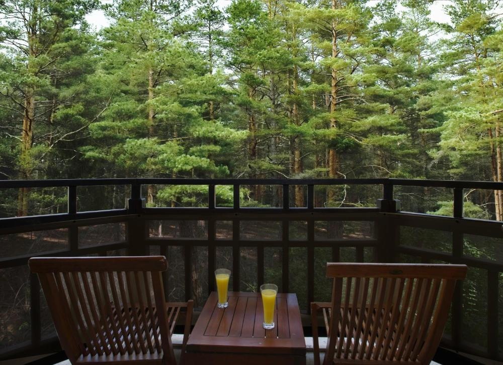Nature Superior Family Room at Asteria Family Resort Belek, photo 3