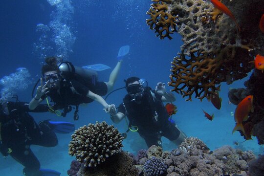 Tour image 2
